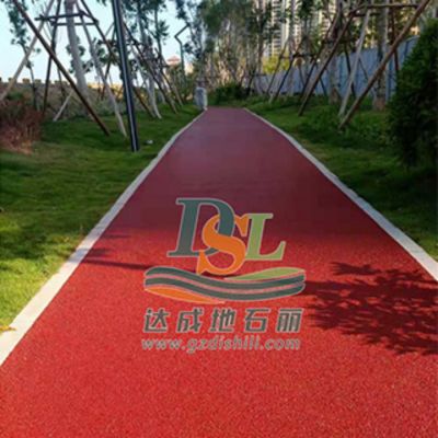 汕头大学校园生态彩色透水地坪项目